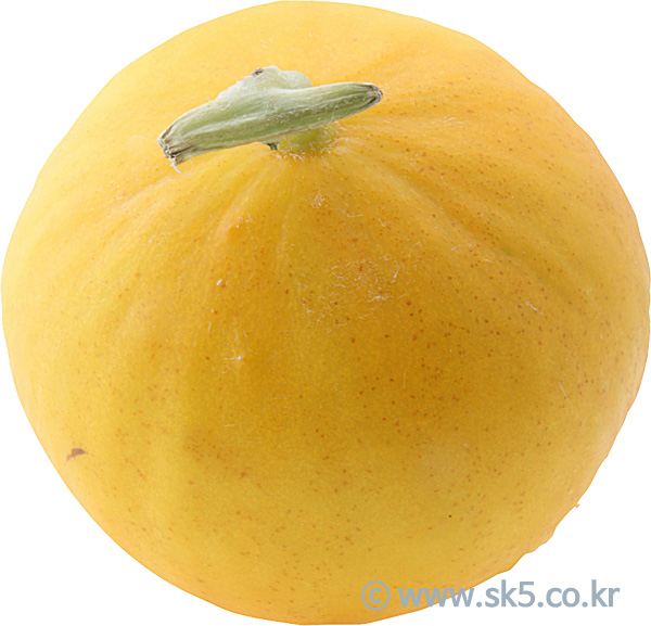 메론