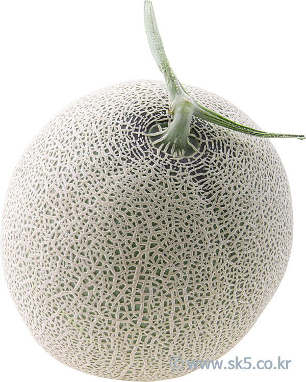 메론