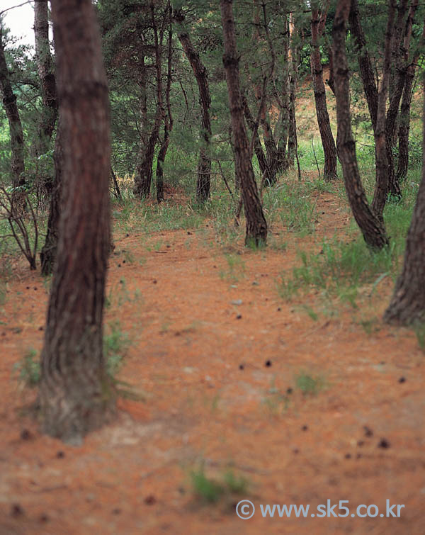 소백산