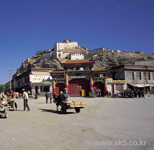 사원