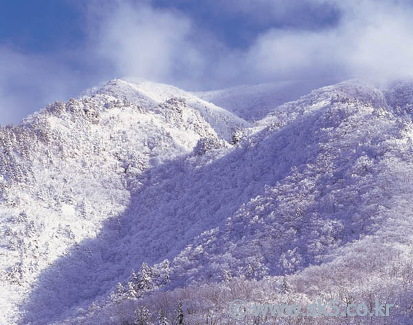 겨울